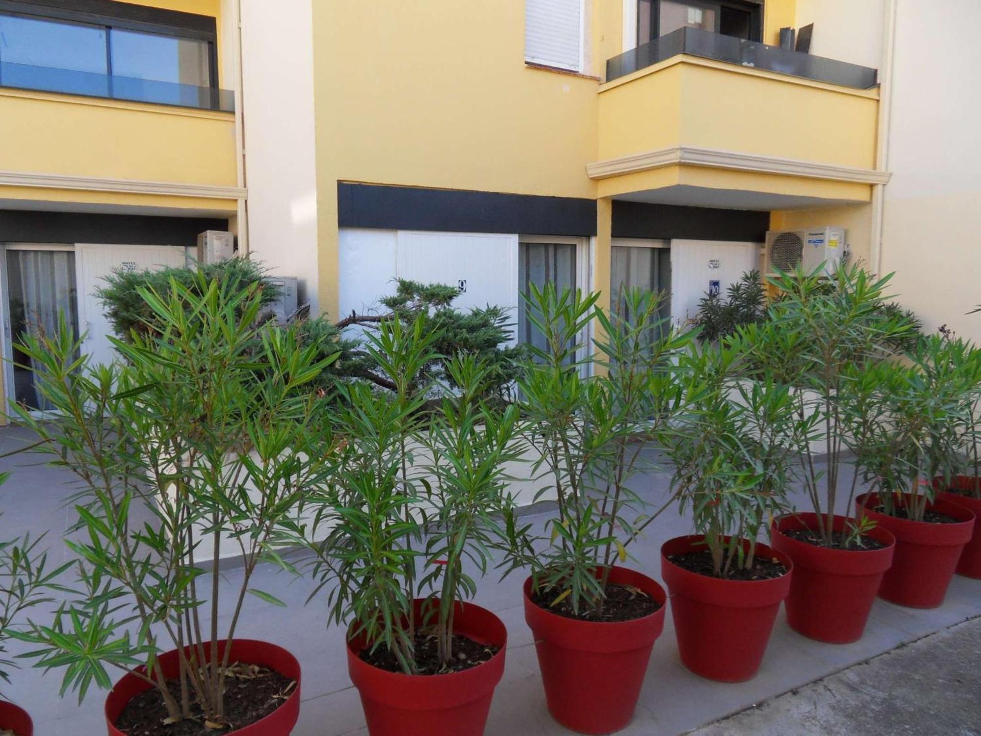 The Originals City, Hotel Cap Maya, Cap D'Agde Exterior photo